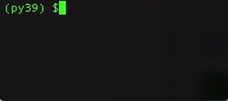 Animated GIF of inject20201.py console output